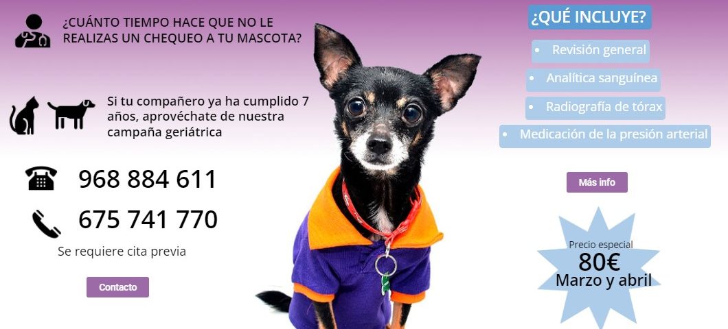 Campaña geriátrica para perros y gatos en oferta. Veterinario en El Palmar, Murcia Clipers