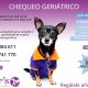 Campaña geriátrica para perros y gatos en oferta. Veterinario en El Palmar, Murcia Clipers
